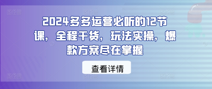 2024多多运营必听的12节课，全程干货，玩法实操，爆款方案尽在掌握-网创资源总站