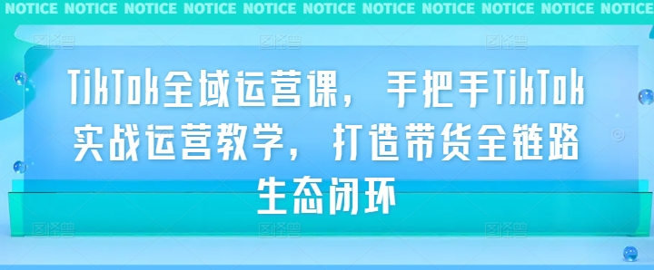 TikTok全域运营课，手把手TikTok实战运营教学，打造带货全链路生态闭环-网创资源总站