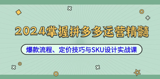 2024掌握拼多多运营精髓：爆款流程、定价技巧与SKU设计实战课-网创资源总站