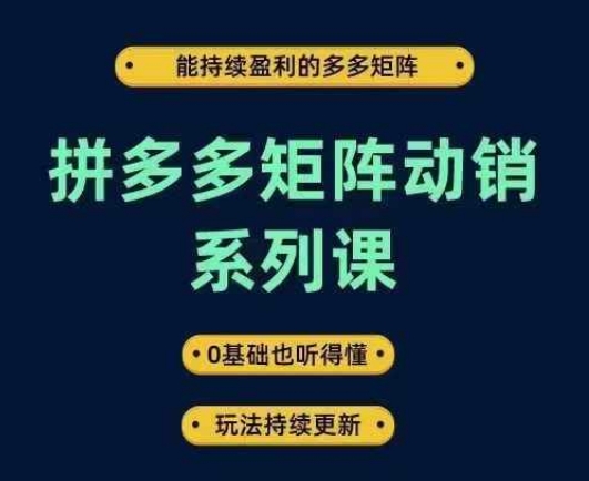拼多多矩阵动销系列课，能持续盈利的多多矩阵，0基础也听得懂，玩法持续更新-网创资源总站