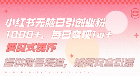 小红书无脑每日引流创业粉500+，小白每天只花半小时，躺赚长尾收益【揭秘】-网创资源总站