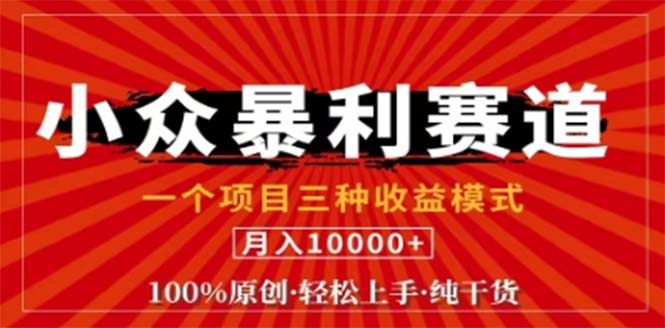 视频号最新爆火赛道，三种可收益模式，0粉新号条条原创条条热门 日入1000+-网创资源总站
