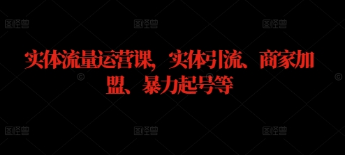 实体流量运营课，实体引流、商家加盟、暴力起号等-网创资源总站