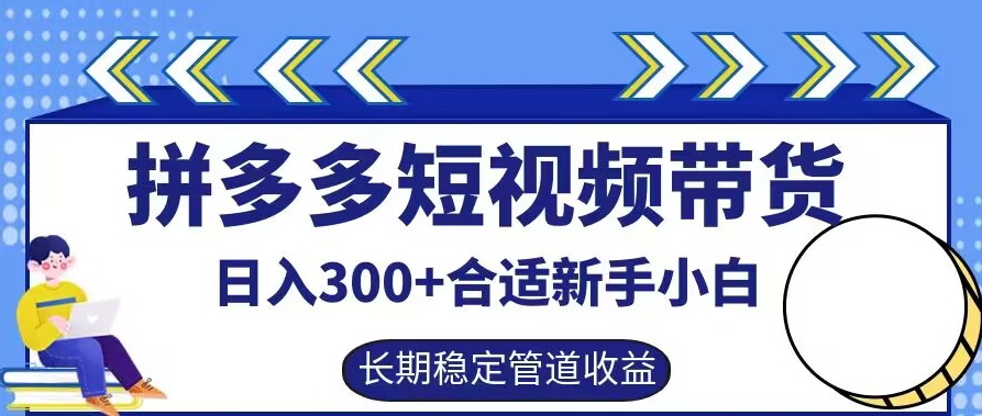 拼多多短视频带货日入300+有长期稳定被动收益，合适新手小白【揭秘】-网创资源总站