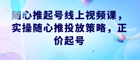 随心推起号线上视频课，实操随心推投放策略，正价起号-网创资源总站