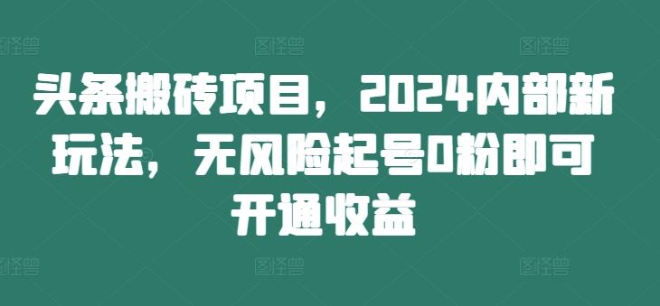 头条搬砖项目，2024内部新玩法，无风险起号0粉即可开通收益-网创资源总站