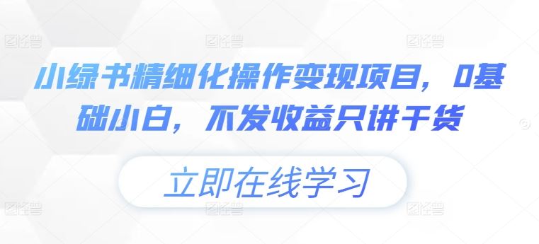小绿书精细化操作变现项目，0基础小白，不发收益只讲干货-网创资源总站