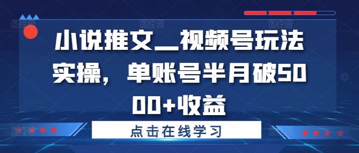小说推文—视频号玩法实操，单账号半月破5000+收益-网创资源总站