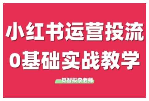 小红书运营投流，小红书广告投放从0到1的实战课，学完即可开始投放-网创资源总站