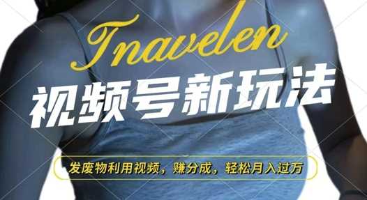 视频号新玩法，废物利用视频，撸分成收益，轻松月入过W【揭秘】-网创资源总站