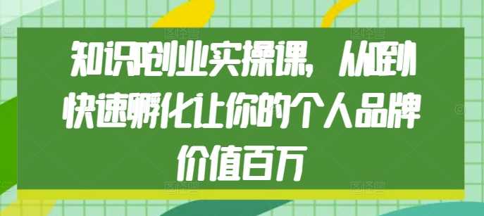 知识IP创业实操课，从0到1快速孵化让你的个人品牌价值百万-网创资源总站