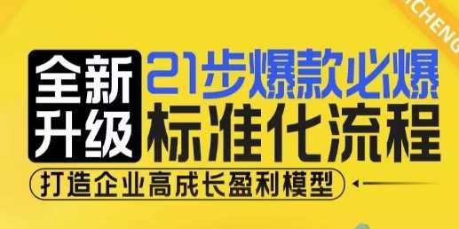 21步爆款必爆标准化流程，全新升级，打造企业高成长盈利模型-网创资源总站