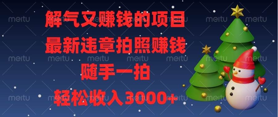 （13686期）解气又赚钱的项目，最新违章拍照赚钱，随手一拍，轻松收入3000+-网创资源总站