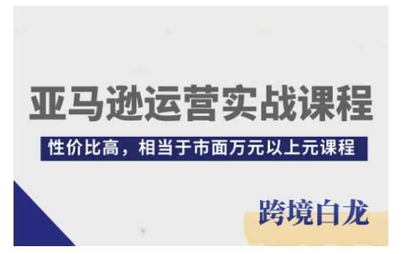 亚马逊运营实战课程，亚马逊从入门到精通，性价比高，相当于市面万元以上元课程-网创资源总站