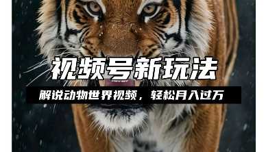 利用动物世界解说视频，赚分成计划收益，轻松月入过W，操作简单【揭秘】-网创资源总站