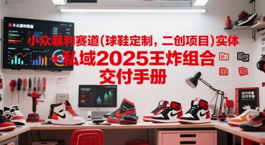 小众暴利赛道(球鞋定制，二创项目)实体+私域2025王炸组合  交付手册-网创资源总站