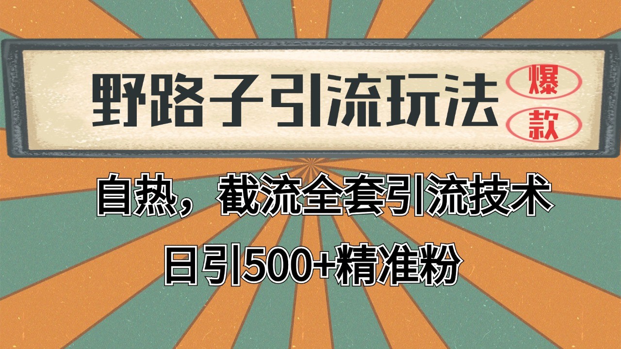 2024首发野路子引流玩法截流自热全平台打法，全自动引流【日引2000+精准客户】-网创资源总站