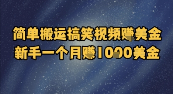 简单搬运搞笑视频挣美金，新手一个月入1k美金-网创资源总站