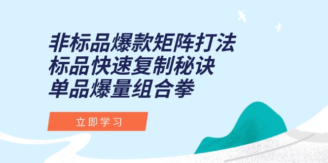 非标品爆款矩阵打法，标品快速复制秘诀，单品爆量组合拳-网创资源总站