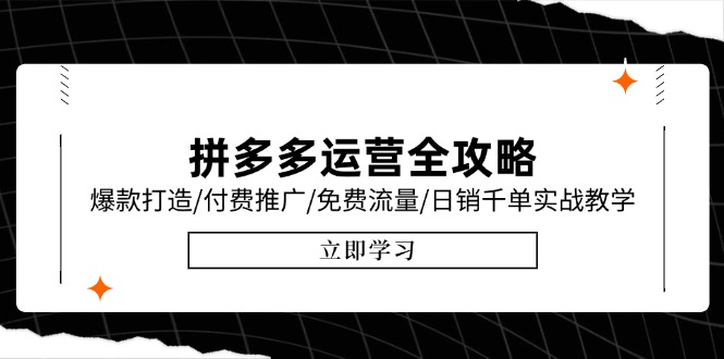 拼多多运营全攻略，爆款打造/付费推广/免费流量/日销千单实战教学/6月更新-网创资源总站