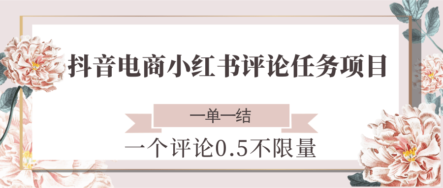 抖音电商小红书评论任务项目，一个评论0.5，一单一结 不限量-网创资源总站