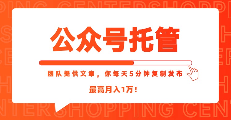 【公众号托管 】我提供文章，你每天５分钟复制发布，最高月入1W-网创资源总站