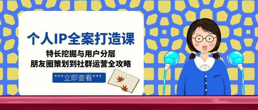 个人IP全案打造课，特长挖掘与用户分层，朋友圈策划到社群运营全攻略-网创资源总站