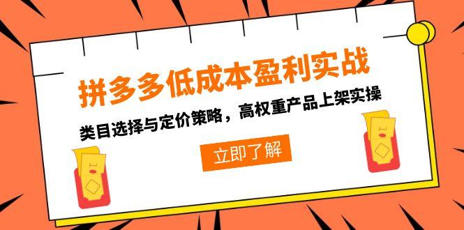 拼多多低成本盈利实战，类目选择与定价策略，高权重产品上架实操-网创资源总站