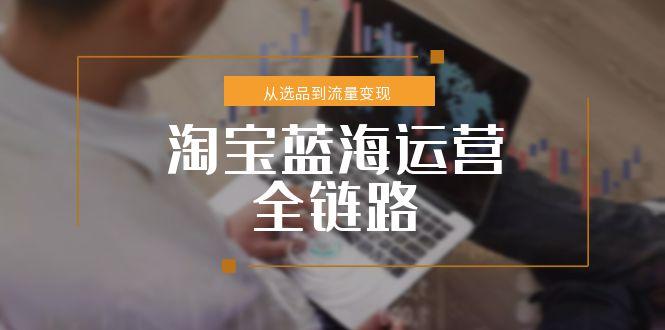 淘宝蓝海运营全链路，从选品到流量变现，小类目突围完整方案-网创资源总站