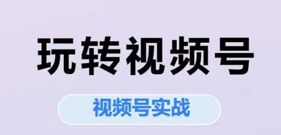 玩转视频号，视频号实战系列课-网创资源总站