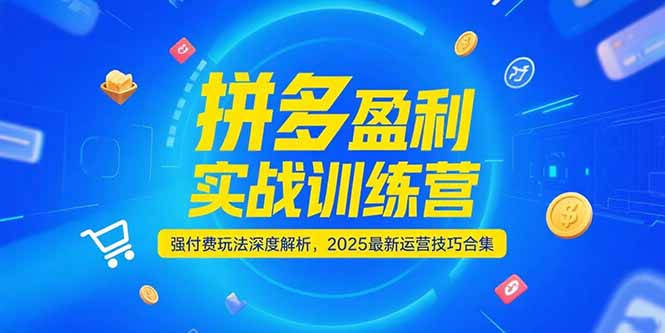 拼多多盈利实战训练营，强付费玩法深度解析，2025运营技巧合集-更新6月-网创资源总站