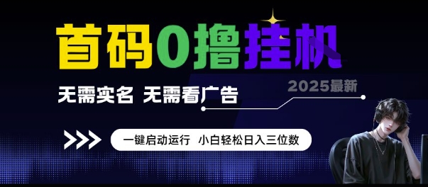 首码0撸挂G项目，无需实名无需看广告 一键启动运行，小白轻松日入三位数【揭秘】-网创资源总站