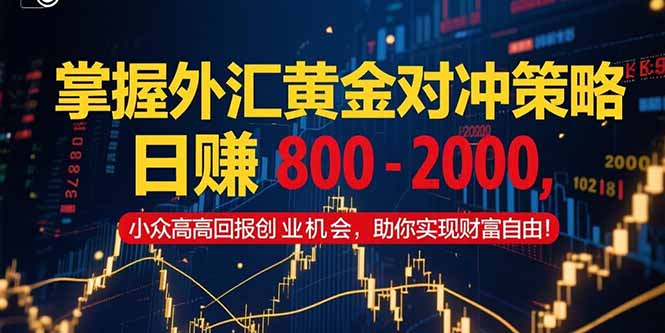 掌握外汇黄金对冲策略，日赚 800 – 2000，小众高回报创业机会，助你实…-网创资源总站