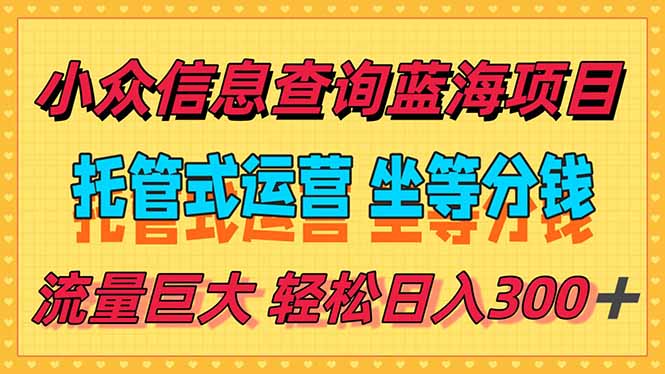 稳定日入300＋，小众信息查询蓝海项目，全程懒人式托管，解放你的时间-网创资源总站