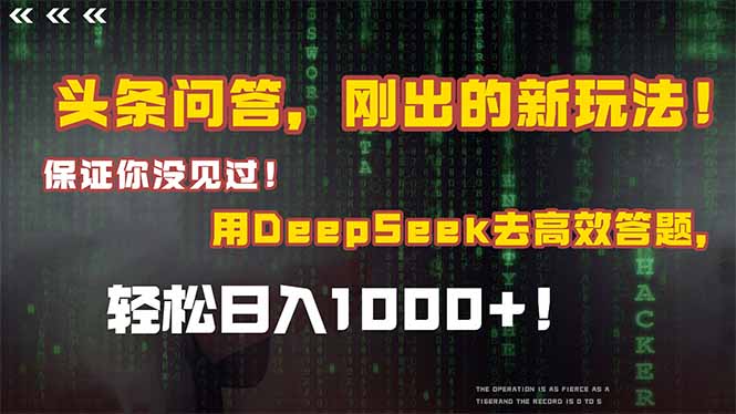 头条问答，刚出的新玩法！保证你没见过！结合Deepseek高效答题，日入1000+-网创资源总站