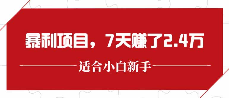 最新暴利项目，每单收益轻松在300以上，7天赚了2.4万-网创资源总站