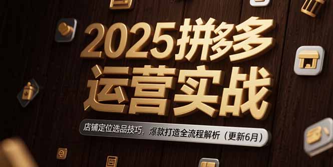 2025拼多多运营实战：店铺定位选品技巧，爆款打造全流程解析(更新6月-网创资源总站