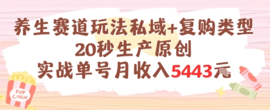 养生赛道玩法私域+复购类型，20秒生产原创实战单号月收入5k+-网创资源总站