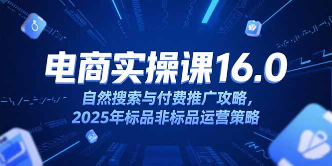 淘宝电商运营课16.0，自然搜索与付费推广攻略，2025年标品非标品运营策略-网创资源总站