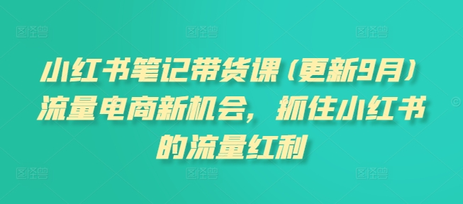 小红书笔记带货课(更新25年6月)流量电商新机会，抓住小红书的流量红利-网创资源总站
