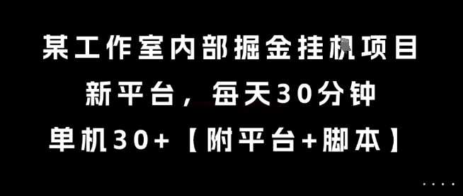 某工作室内部掘金挂G项目，新平台，每天30分钟，单机30+【揭秘】-网创资源总站
