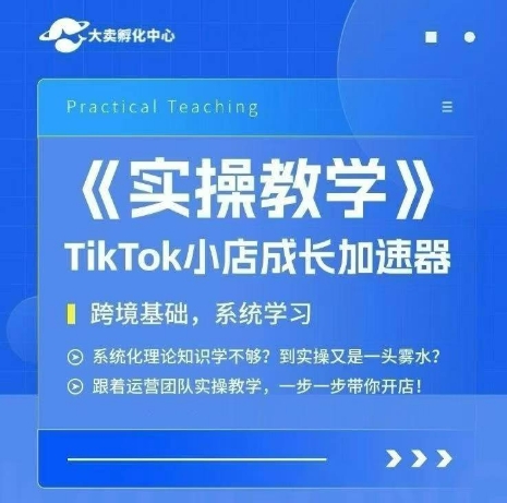 大卖家孵化中心TikTok实操课，TikTok小店成长加速器，跨境基础系统学习，一步一步带你开店-网创资源总站