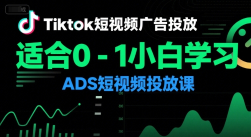 Tiktok短视频广告投放，适合0-1小白学习ADS短视频投放课-网创资源总站