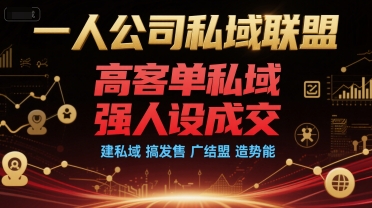 一人公司私域联盟，高客单私域，强人设成交，建私域 搞发售 广结盟 造势能-网创资源总站