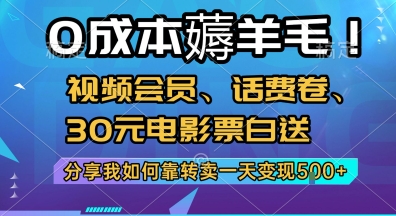 0成本薅羊毛!视频会员、话费卷、30元电影票白送，分享我如何靠转卖一天变现5张+【揭秘】-网创资源总站