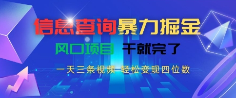 信息查询暴力掘金，一天三条视频，轻松变现四位数，风口项目干就完了【揭秘】-网创资源总站