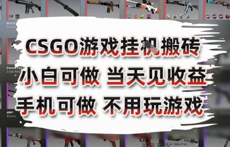CSGO游戏挂G搬砖，小白纯手机即可操作，不用电脑打游戏，日入3张+，副业网创项目【揭秘】-网创资源总站