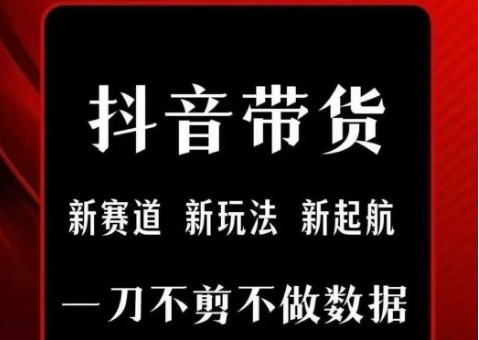 抖音短视频一刀不剪带货，不剪辑，不直播，每天发个视频，等着出单获取带货佣金-网创资源总站