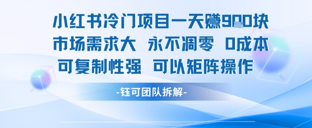 小红书冷门项目一天收益9张，市场需求大，0成本，可复制性强可以矩阵操作-网创资源总站