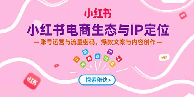 小红书电商生态与IP定位，账号运营与流量密码，爆款文案与内容创作-网创资源总站